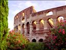 Rome - Roman Coliseum framed from the south side.